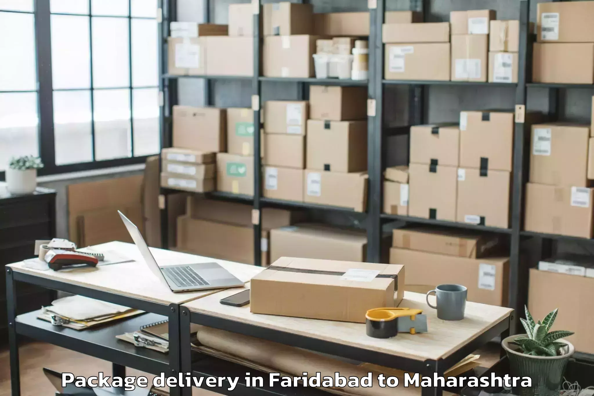 Quality Faridabad to Mehkar Package Delivery